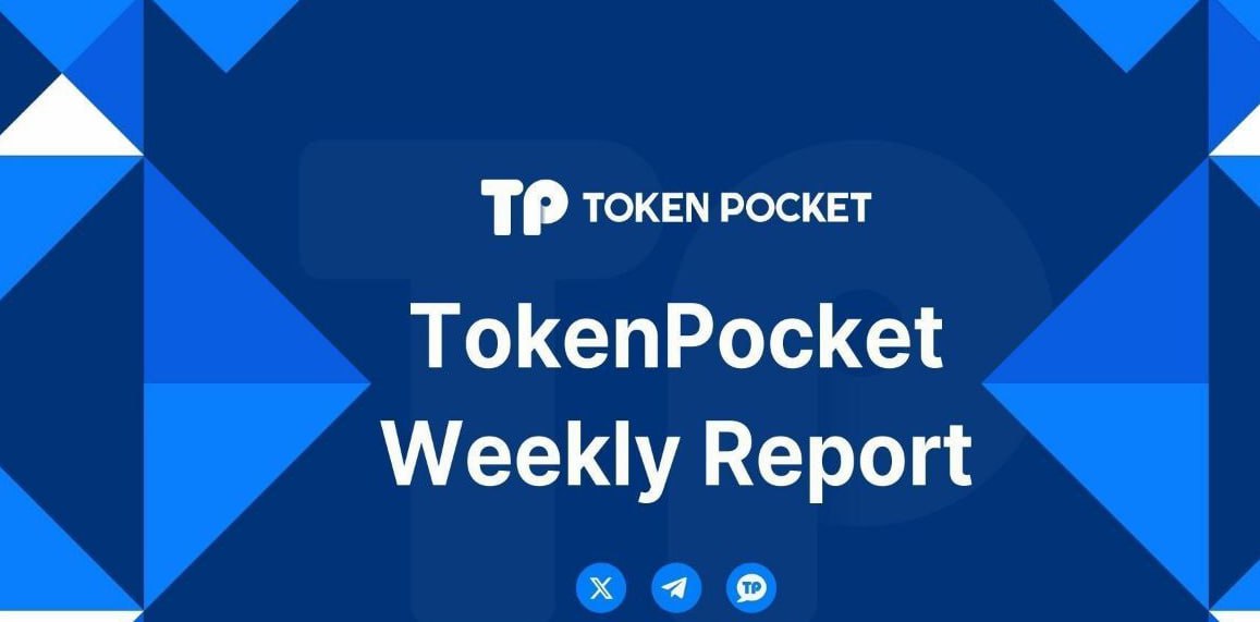 tp钱包被盗能不能被找回 TP交易所App下载：财务透明度遭质疑，监管漏洞引关注！