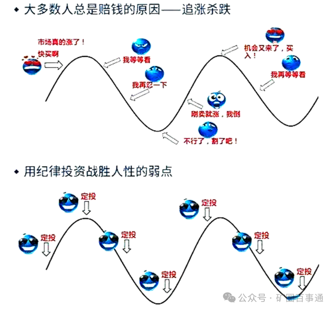 比特币狗狗币什么意思_比特币和狗狗币的交易时间_探讨狗狗币与比特币的合作与竞争关系